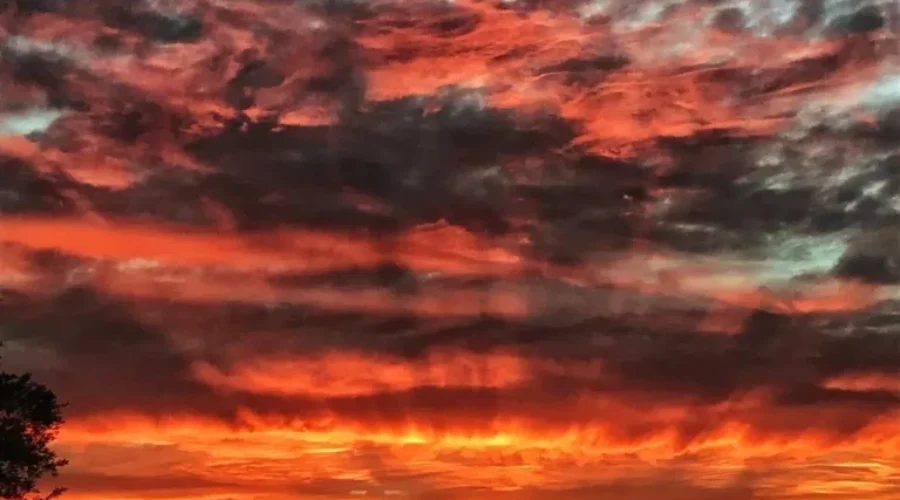 Sunrise View From McKenzie Island