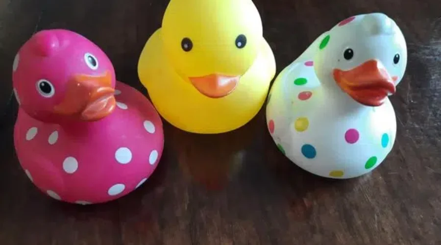 ducks Dryden Rotary Hosting Lucky Duck Draw/Race