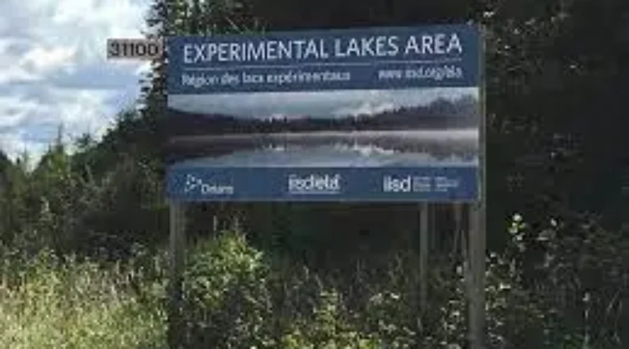 ela Local Scientific Research On Display This Weekend