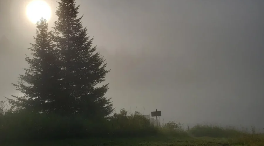 Snowshoe Dam Access Campground