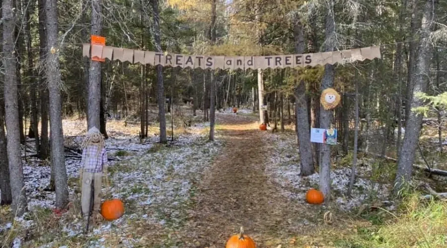 treatstrees-1 Packed Schedule For Dryden Fall Fest 2022