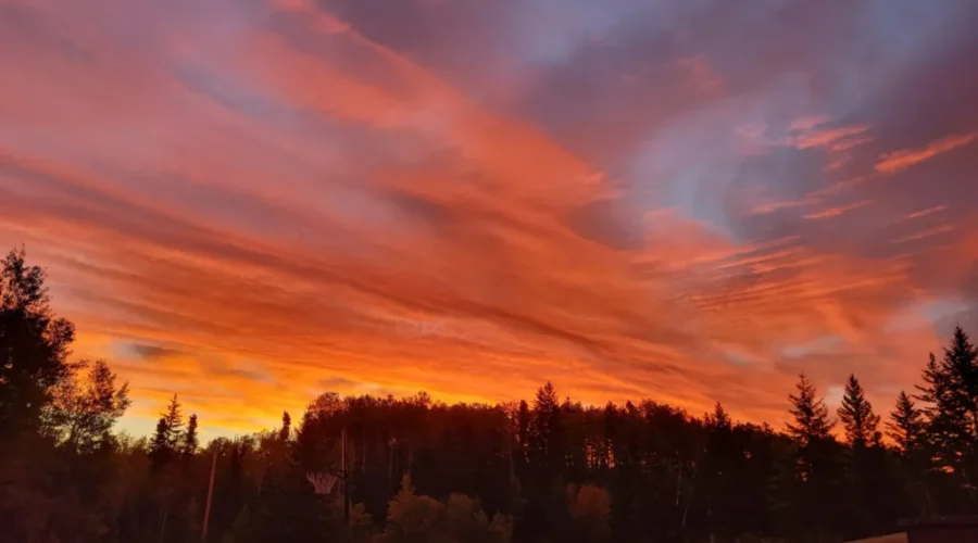 Vermilion Bay – Quibell Area