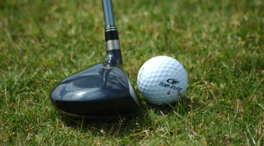 Bachynski And Gill Represent DHS AT NWOSSAA