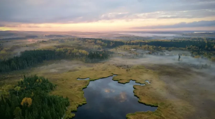 Aerial Shot From The Thunder Lake Area