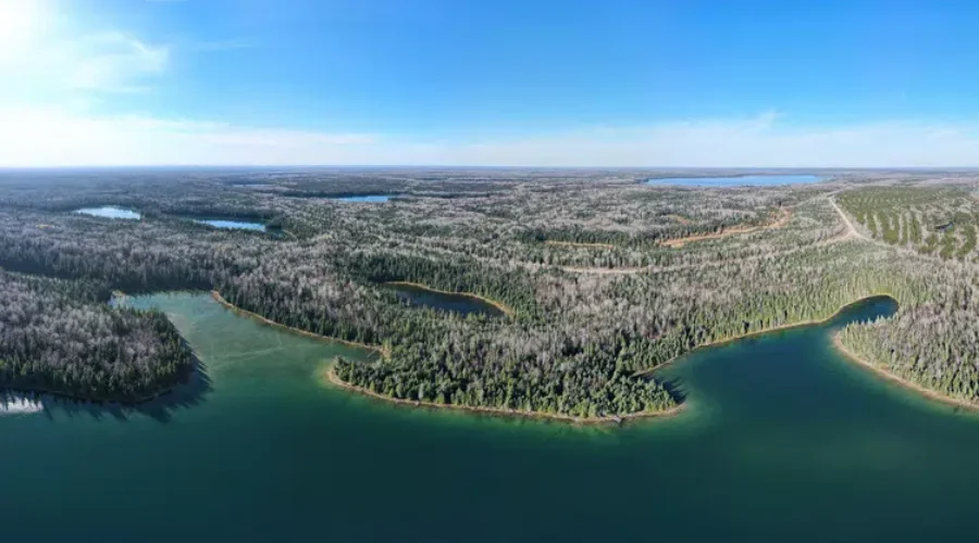 boreal-wildlind-1 Fundraising Completed For Boreal Project In Northern Ontario