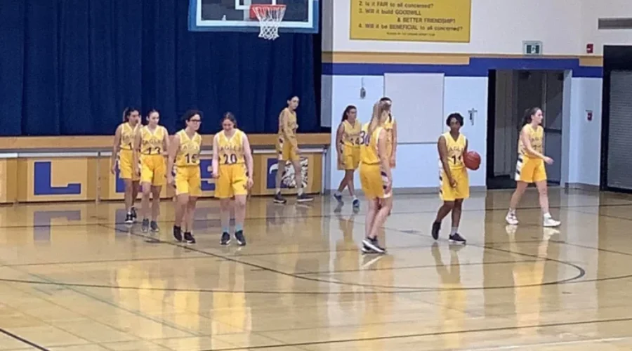 Dryden Eagles Win Three Games In Season Opener