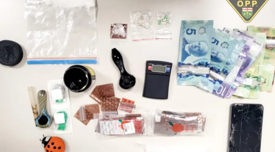 Drugs Seized In Traffic Stop In Dryden