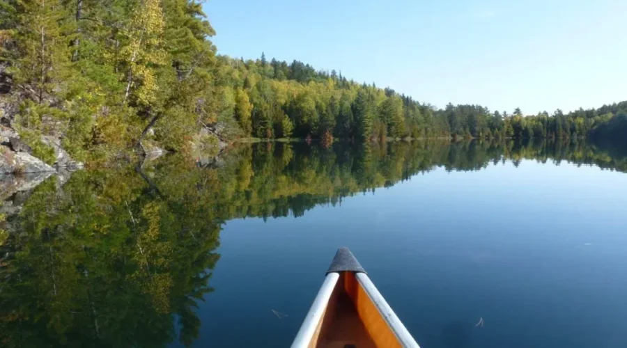 A Late 2022 Summer Memory