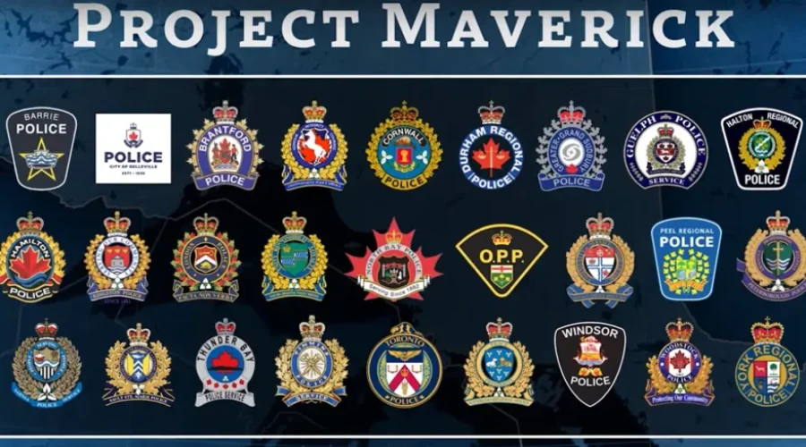 project-maverick-logo Project Maverick Numbers