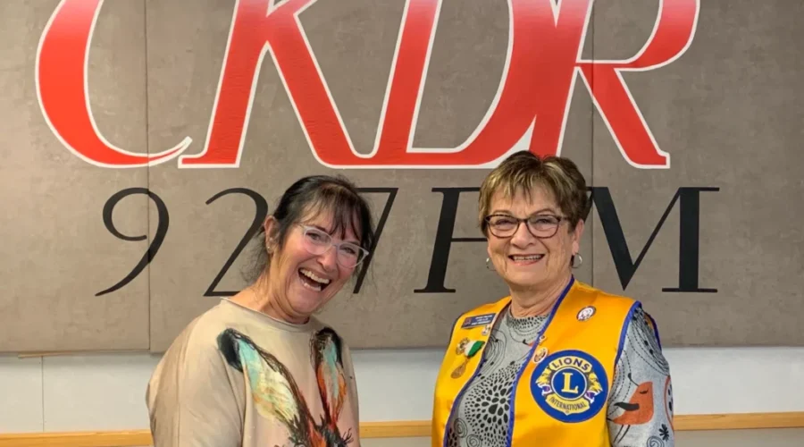 Festival Of Trees Returns