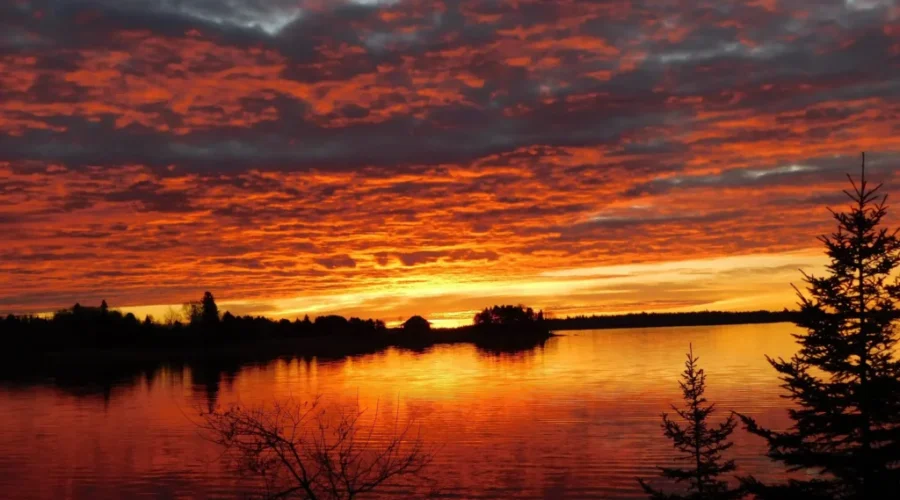 Mild Winter Predicted By Environment Canada