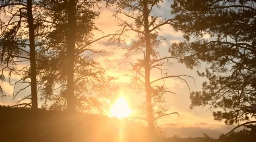 Eagle River – In The Midst Of The Crisp Cold