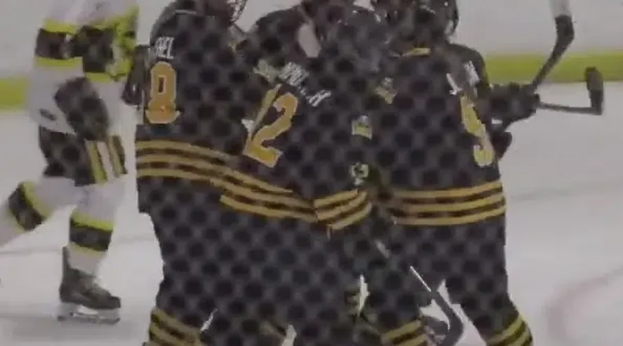 Split For Eagles Hockey Teams; Other High School Sports