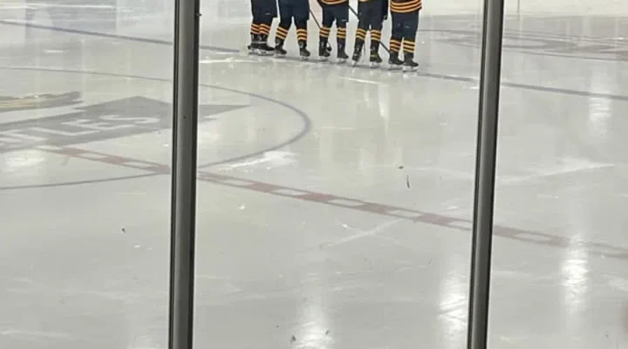 Win And A Loss For Eagles Hockey Teams