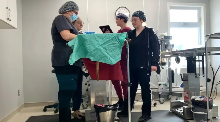 Humane Society Spay Neuter Clinic Hits Milestone