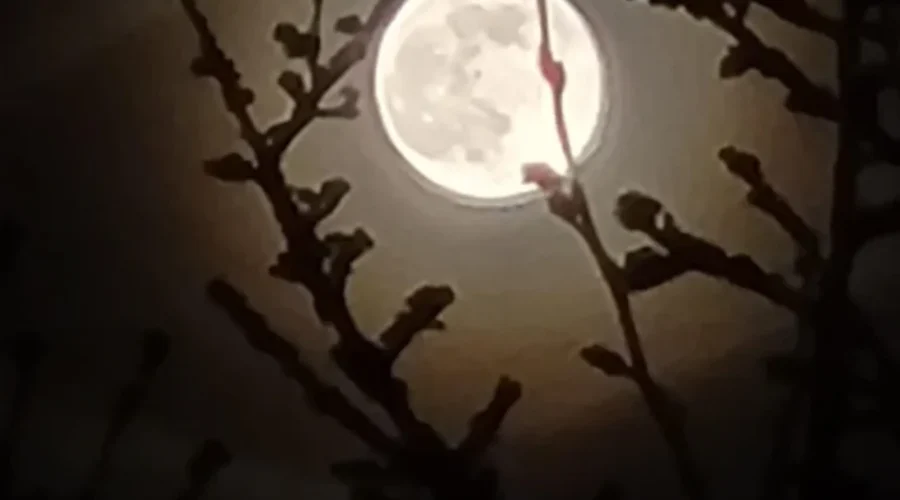 Full Wolf Moon
