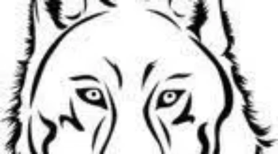 open-roads-mascot-logo Literacy Week At Open Roads School