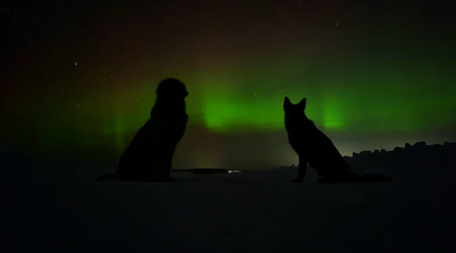 Red Lake Ice Road Area