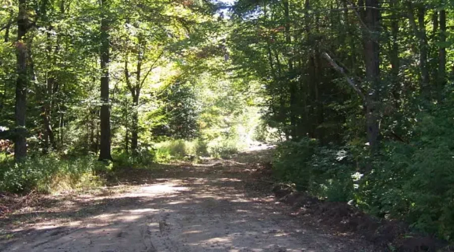 6145139718_2cd5ca0481_b OFIA Presents Case for Forest Access Road Maintenance