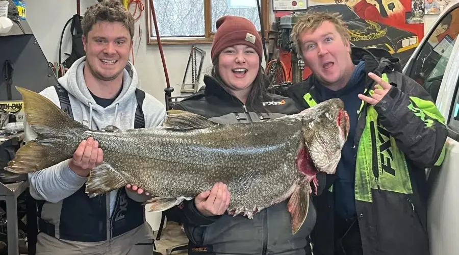 Monster Lake Trout caught in Red Lake area