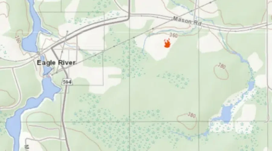 Forest fire spotted among the snow