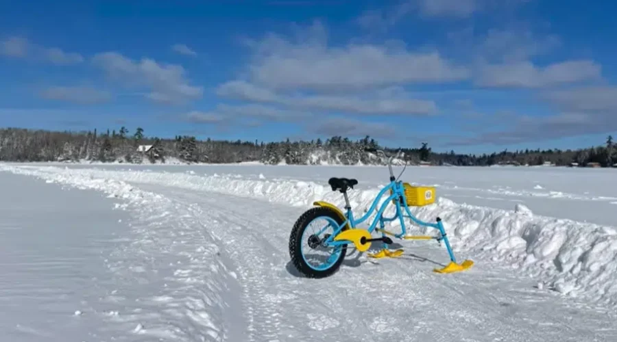 mosswood-adventures NWO Pitch It winners announced