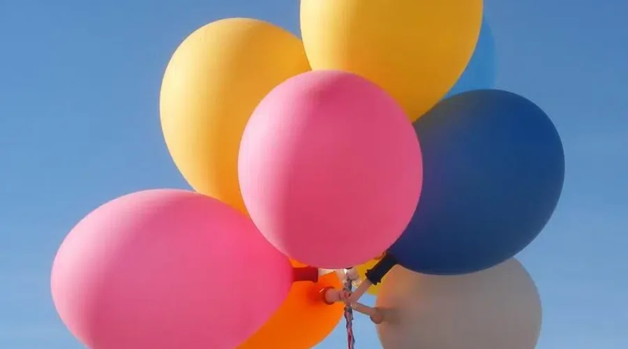 Worlds oldest dog ever turns 31