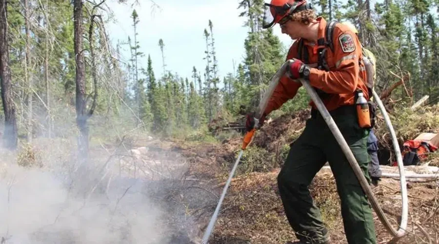 forest-fire-crew-member-work-nipigon-99-2017-mnr-supplied Ontario assists Alberta in wildfire battles