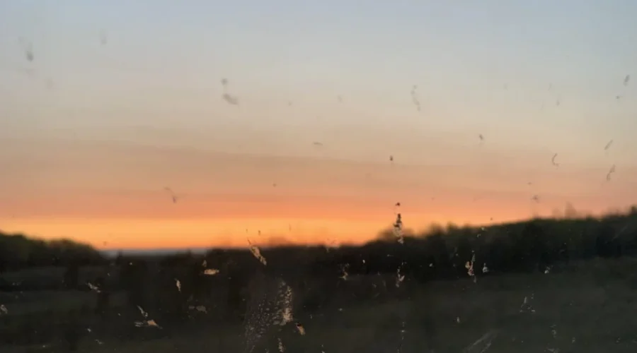 I’ve Been ‘Juiced’