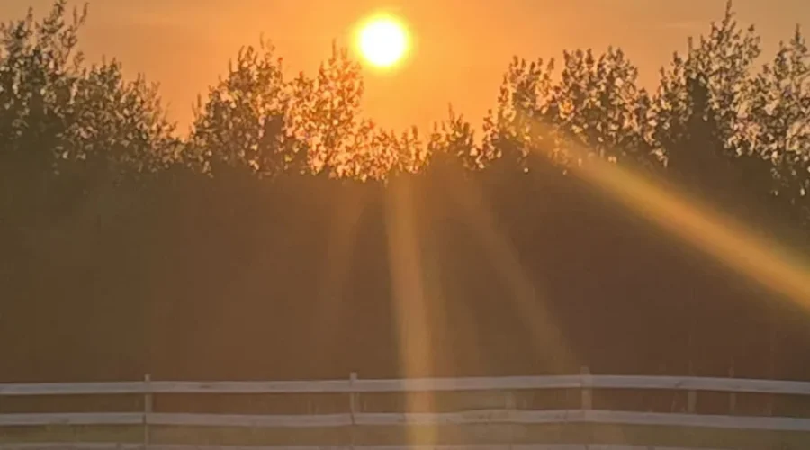 Johnston Road Area – West Of Dryden