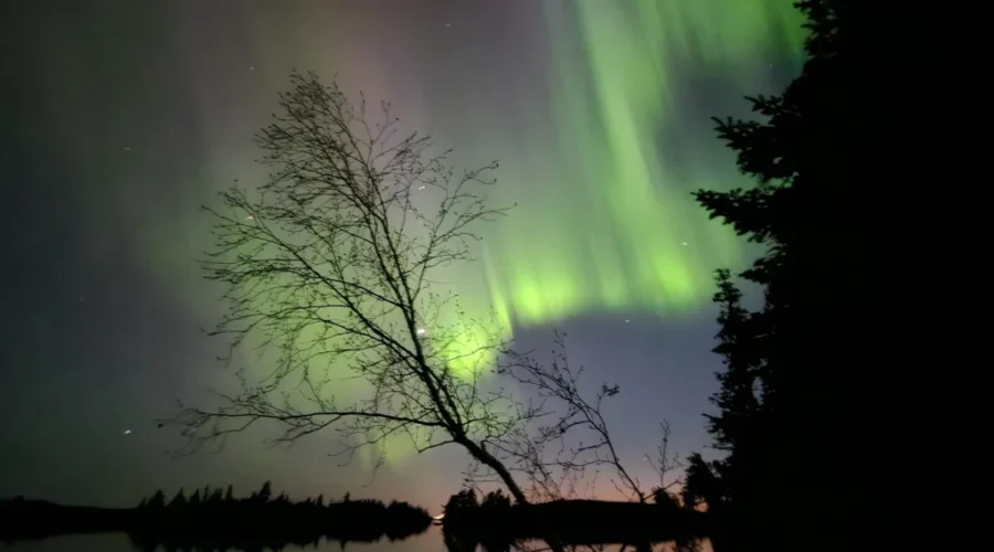 Soapstone Point in Wabigoon