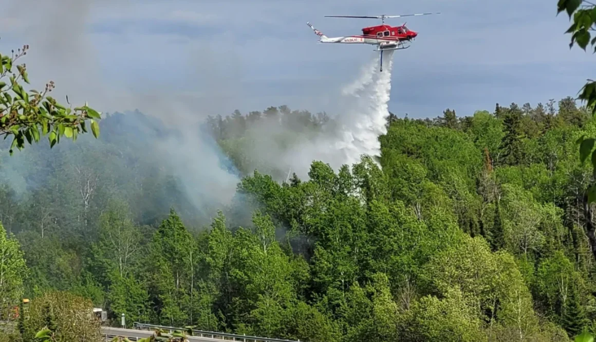 redditt-forest-fire-scaled-1