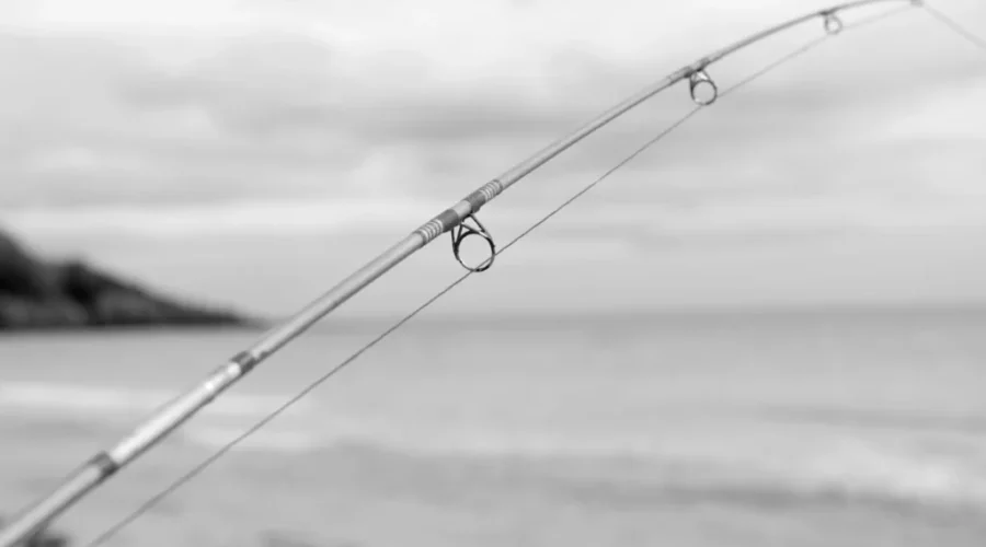 fishing-pole-1684093-scaled-1 Licence-free fishing starts Saturday
