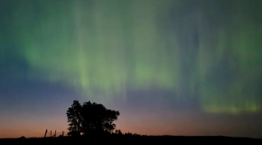 Oxdrift Northern Lights