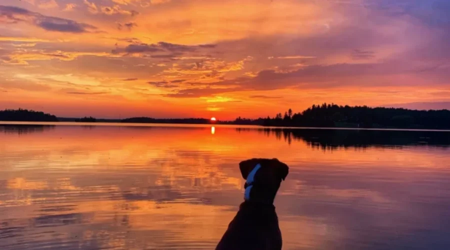 Wabigoon Lake – Enjoying The View