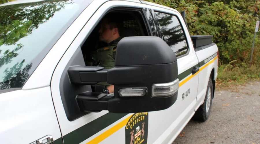 Hunter fined for illegal moose hunt near Savant Lake