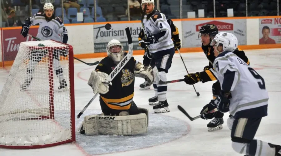 Ice Dogs seek larger dressing room