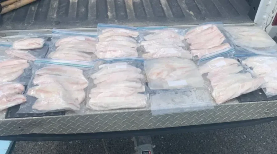 Timmins man caught over two limits