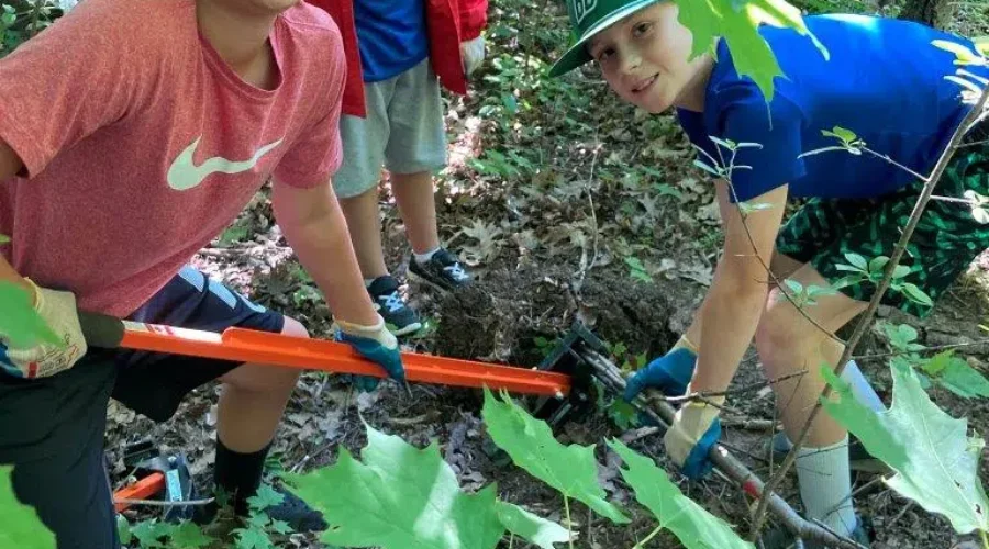 Two agencies receive funding to target invasive species