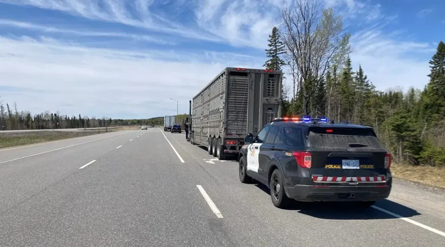 opp-traffic-stop-near-nipigon-fb Operation Safe Driver underway