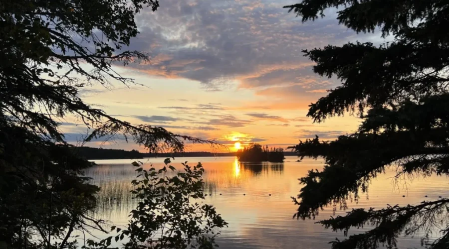 Sunset At Aaron Park