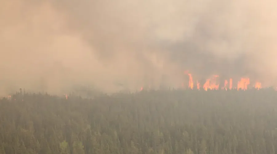 2023 Forest fire season higher than average