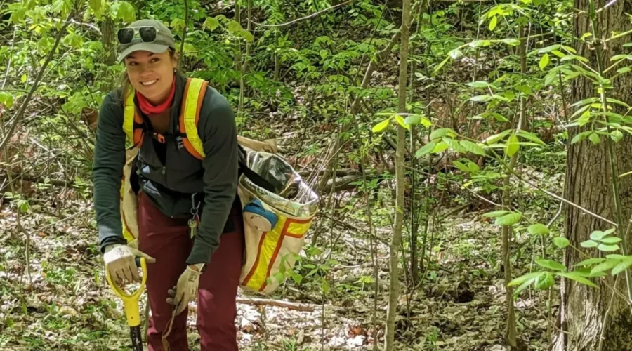 Tree planting initiatives reaches 40 million mark