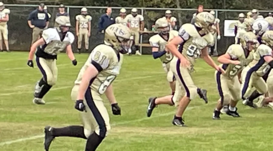 Eagles come back to beat Hornets