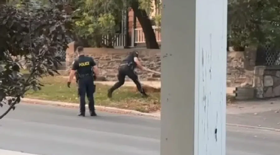 Deer killing sparks investigation