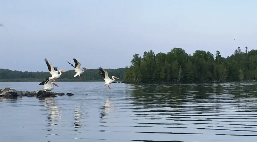 Thunder Lake Lodge Area