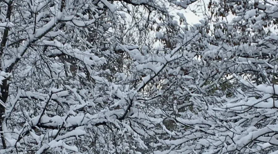 The Beauty Of Our Reality – Eagle River