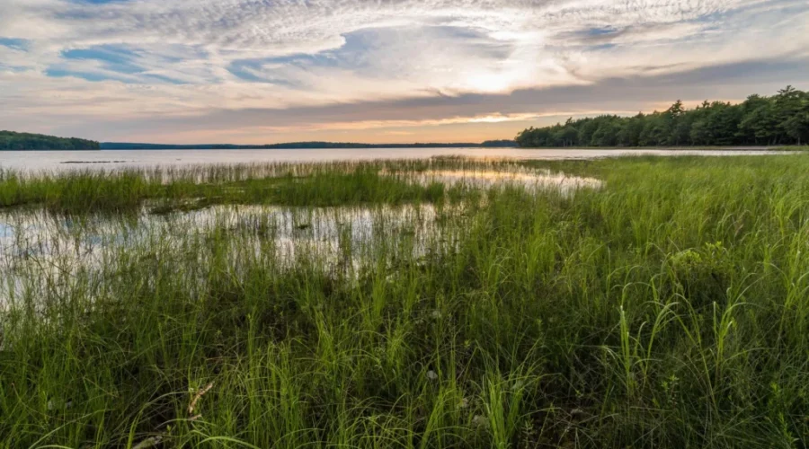 $30M to protect lands surrounding national parks