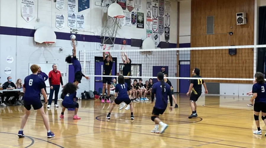 Warriors claim two of four NorWOSSA titles