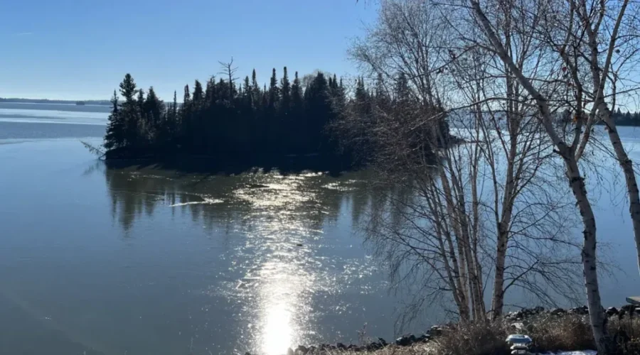 January drier and milder than usual